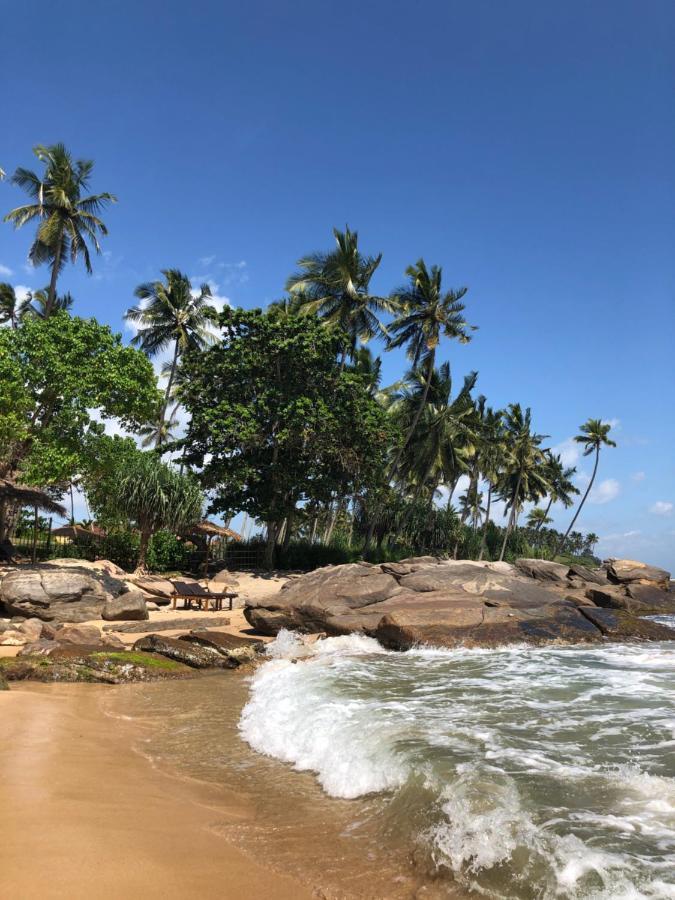Eden Reverie Deluxe Rooms And Spa Tangalle Eksteriør bilde